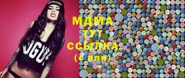 шишки Арсеньев