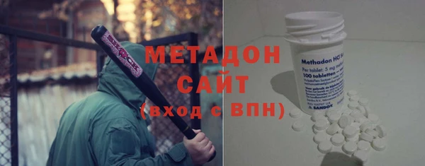 шишки Арсеньев