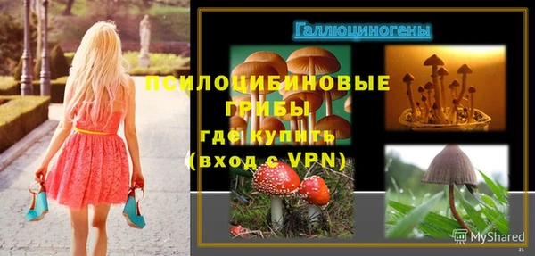 шишки Арсеньев