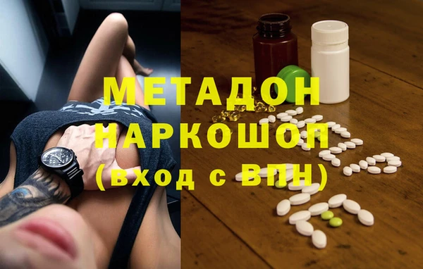 шишки Арсеньев