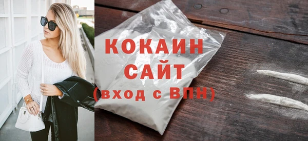 шишки Арсеньев