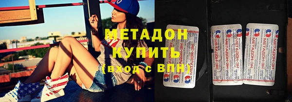 шишки Арсеньев